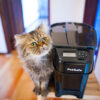 PetSafe Healthy Pet Simply Feed