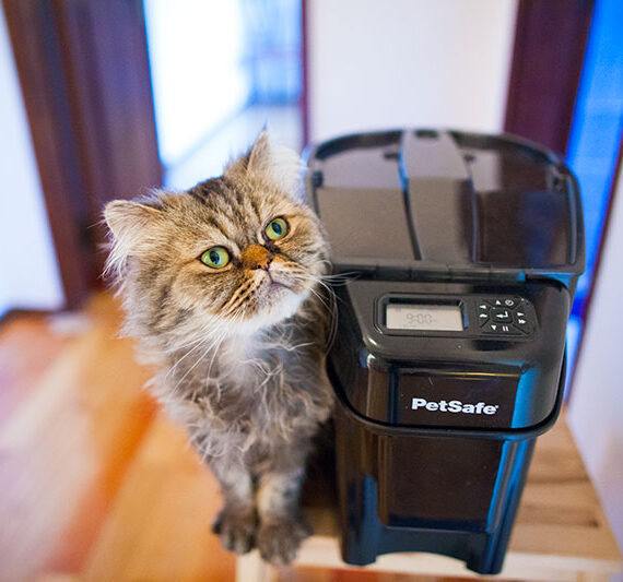 PetSafe Healthy Pet Simply Feed